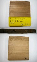 藏品(黑松)的圖片